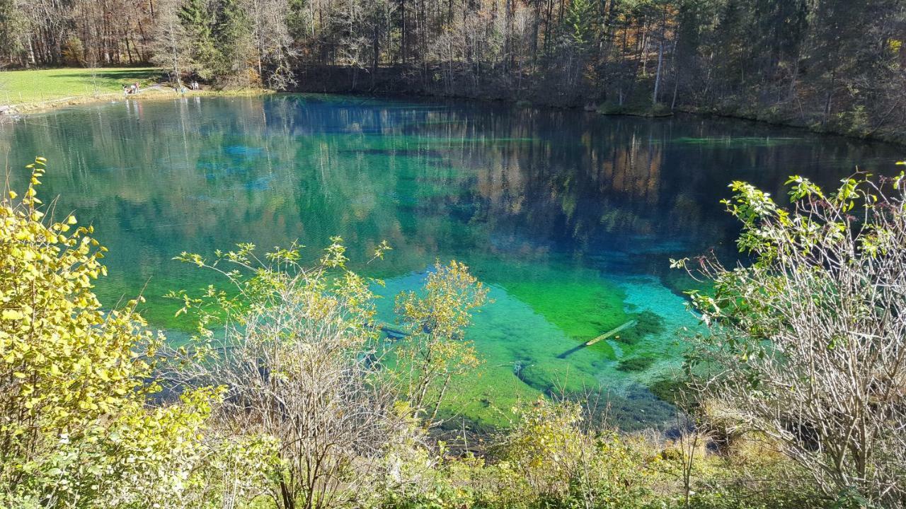 Ferienwohnung Am Eichwald Immenstadt im Allgäu Zewnętrze zdjęcie